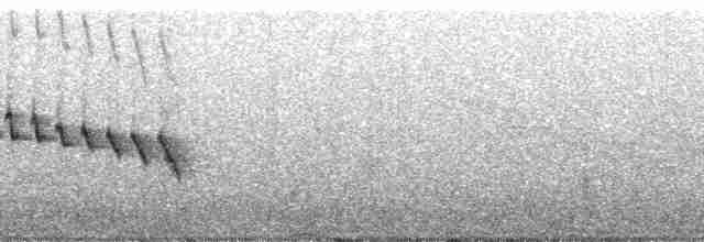Paruline à cimier noir - ML211522