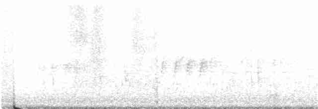 Дрізд-короткодзьоб плямистоволий - ML211525591