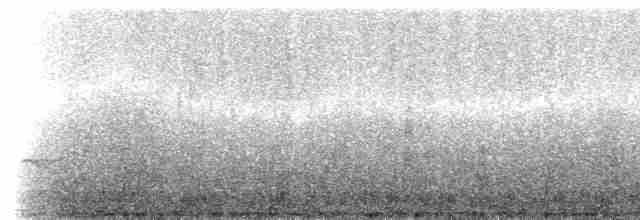 Weißkronen-Olivtyrann [albiceps-Gruppe] - ML211527
