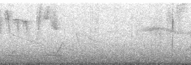 Огненнобрюхая танагра [группа lunulatus] - ML211531
