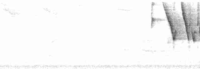 Буроголовая атлапета - ML211614