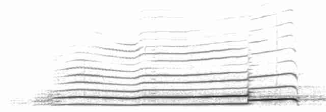 Гагара білодзьоба - ML211635481
