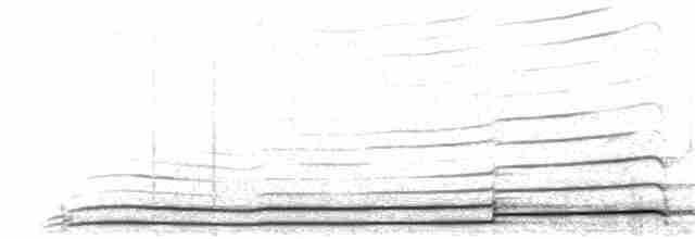 Гагара білодзьоба - ML211635491