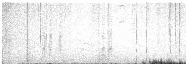 Striped Woodpecker - ML211650491