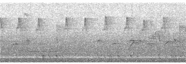 Silver-eared Mesia - ML211666121
