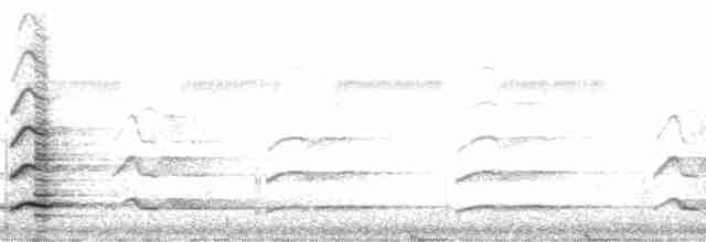 Toucan à bec rouge (tucanus) - ML2117