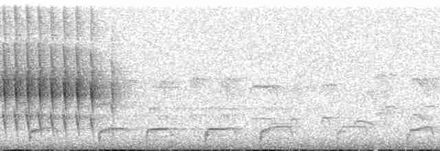 Streifenbaumspäher - ML211709