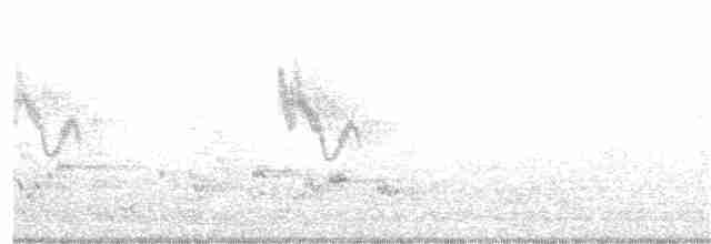 Swinhoebrillenvogel - ML211803601