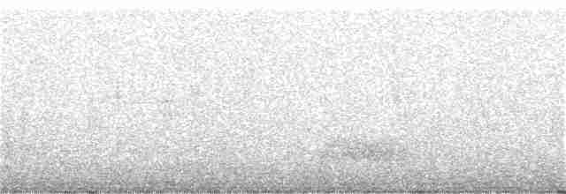 Slender-billed Oriole - ML211841781