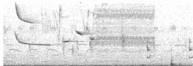Курочка плямистобока - ML211849711