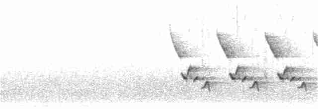 Каролинский крапивник - ML211893411