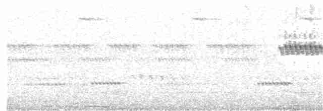 Höhennachtschwalbe (poliocephalus) - ML21194851