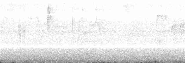 Kara Gözlü Junko [oreganus grubu] - ML211986021