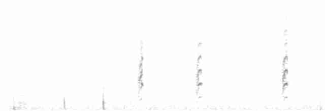 svartkronestylteløper - ML212005421