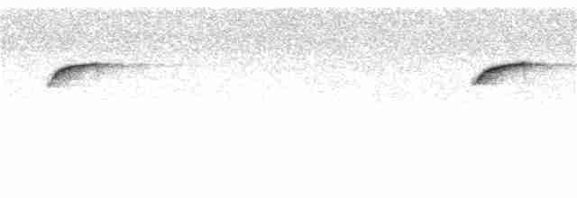 Серебристый зимородок - ML212018881