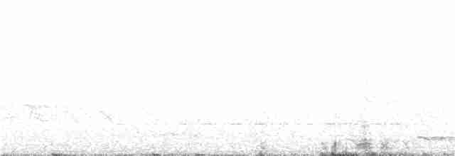 Малайская лесная куропатка - ML212044621