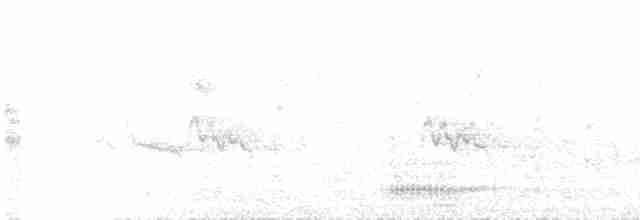 Corbeau à nuque blanche - ML212089341