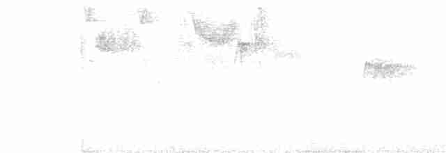 Чешуйчатогрудый саблекрыл - ML212111351
