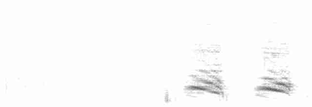 krkavec krátkoocasý - ML212117641