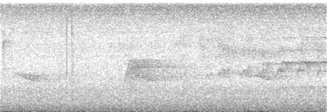 Дятел-куцохвіст чорночубий - ML212144181