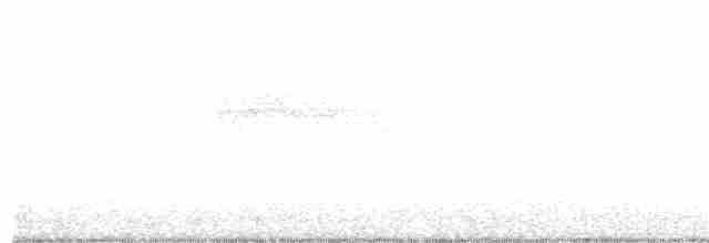 Kara Kuyruklu Bitkuşu - ML212178921