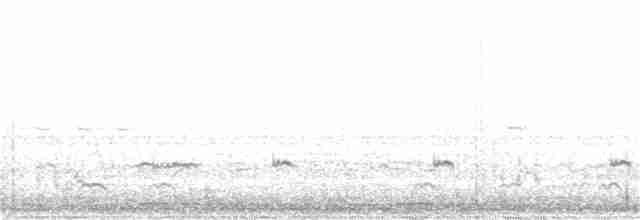 Cisne Trompetero - ML212184321