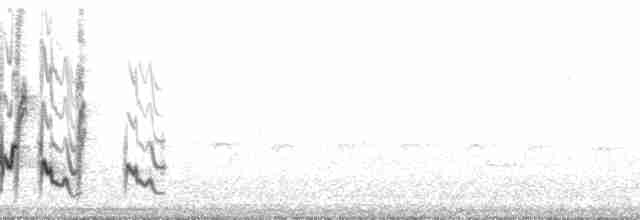 Bluish-gray Saltator - ML212199