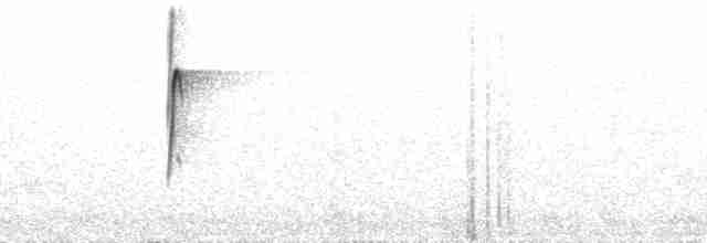 Мухоїд світлогорлий - ML212233