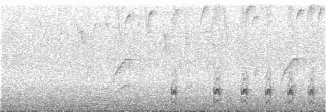 クロミオタテドリ（subcinereus） - ML212233601