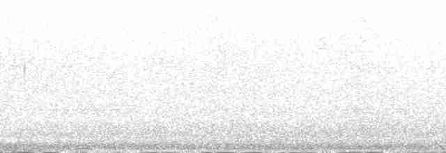 Исполинский колибри - ML212260