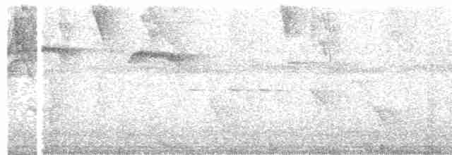 Пилоклювый колибри-отшельник - ML212306551