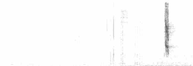 Тітіріджі білочеревий - ML212328