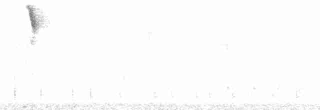 White-browed Brushfinch - ML212372
