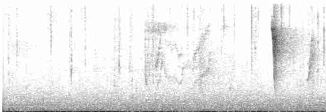 Red-tailed Laughingthrush - ML212402601