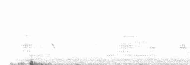 Kara Yüzlü Kaşıkçı - ML212623981