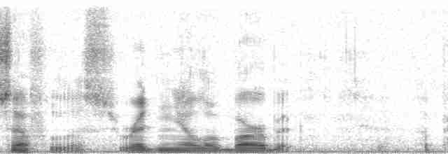 Красноголовая чубатка - ML21263