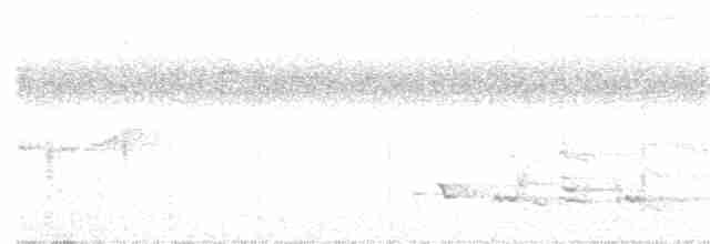 Gray-chested Babbler - ML212630501