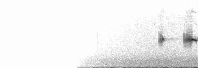 Лусонская пестрогрудка - ML212635341