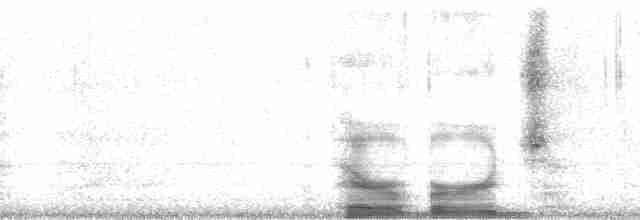 ťuhýkovec červenopásý - ML21265