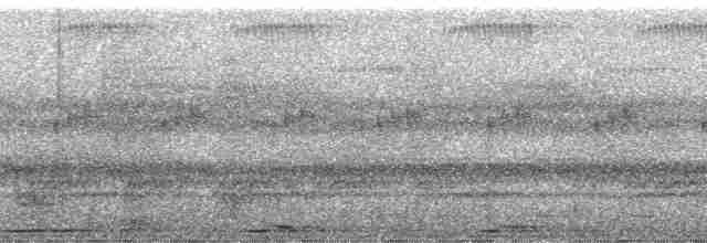 Полосатохвостый трогон - ML212684