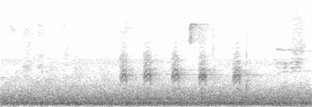 Kara Tepeli Baştankara - ML212782091