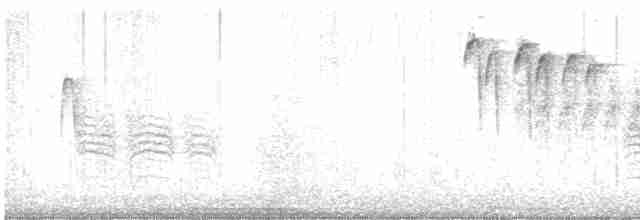 Black-capped Chickadee - ML212821811