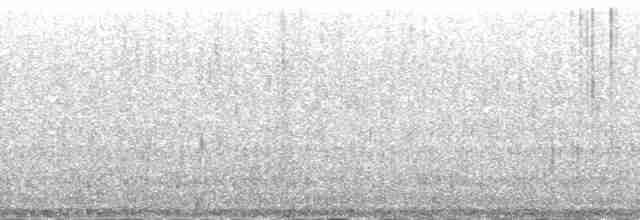 Kara Kanatlı Yer Kumrusu - ML212849
