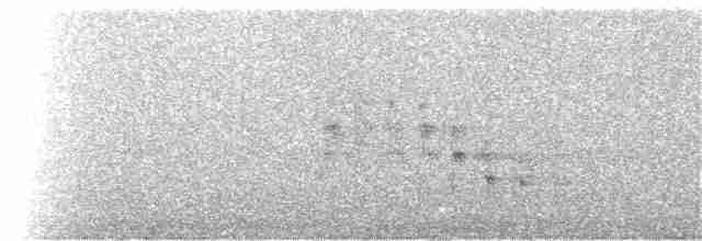 orel bělohlavý - ML21288161
