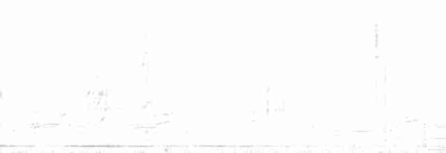 Зернолуск золотодзьобий - ML212893