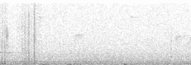 Желтоватый мухоед (grisescens) - ML212926