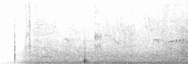 Southern Beardless-Tyrannulet - ML212989251