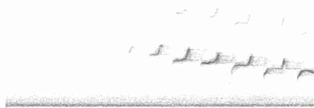 Каньонный крапивник - ML213022331