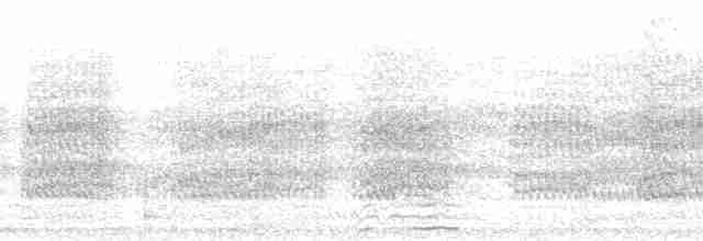 bruntornskrike - ML213068