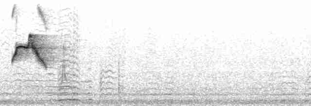 Тиранчик-короткодзьоб південний - ML213072